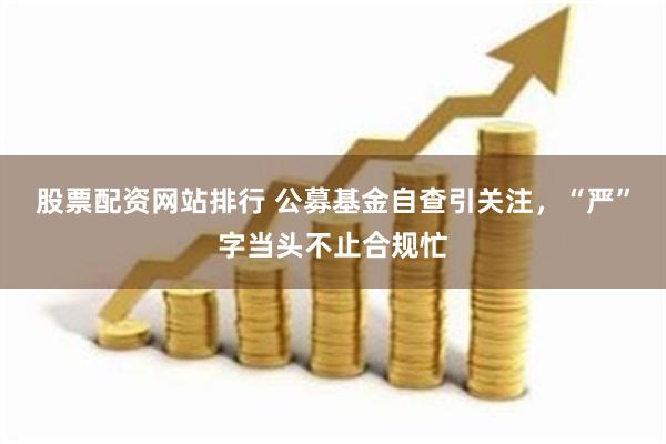 股票配资网站排行 公募基金自查引关注，“严”字当头不止合规忙