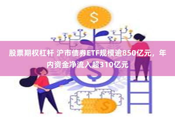 股票期权杠杆 沪市债券ETF规模逾850亿元，年内资金净流入超310亿元