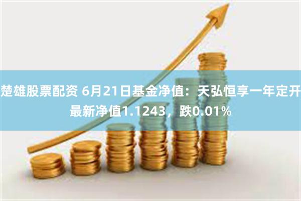 楚雄股票配资 6月21日基金净值：天弘恒享一年定开最新净值1.1243，跌0.01%