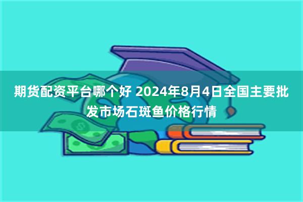 期货配资平台哪个好 2024年8月4日全国主要批发市场石斑鱼价格行情