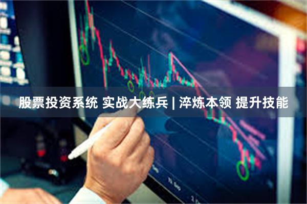 股票投资系统 实战大练兵 | 淬炼本领 提升技能