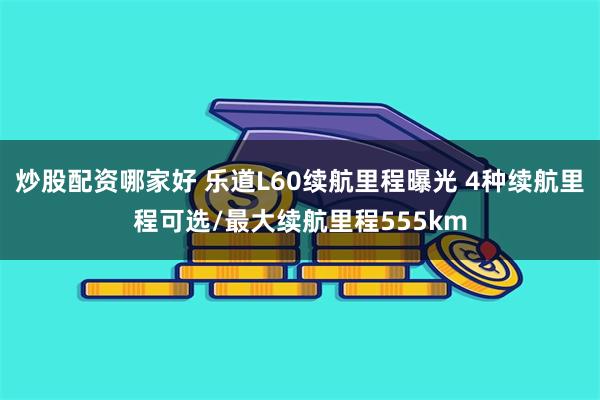 炒股配资哪家好 乐道L60续航里程曝光 4种续航里程可选/最大续航里程555km