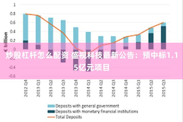 炒股杠杆怎么配资 盛视科技最新公告：预中标1.15亿元项目