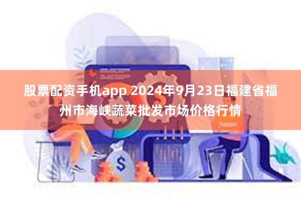 股票配资手机app 2024年9月23日福建省福州市海峡蔬菜批发市场价格行情