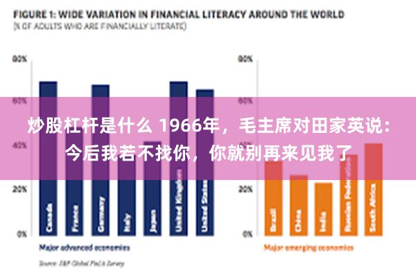 炒股杠杆是什么 1966年，毛主席对田家英说：今后我若不找你，你就别再来见我了