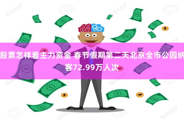 股票怎样看主力资金 春节假期第二天北京全市公园纳客72.99万人次