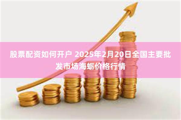 股票配资如何开户 2025年2月20日全国主要批发市场海蛎价格行情