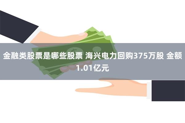 金融类股票是哪些股票 海兴电力回购375万股 金额1.01亿元